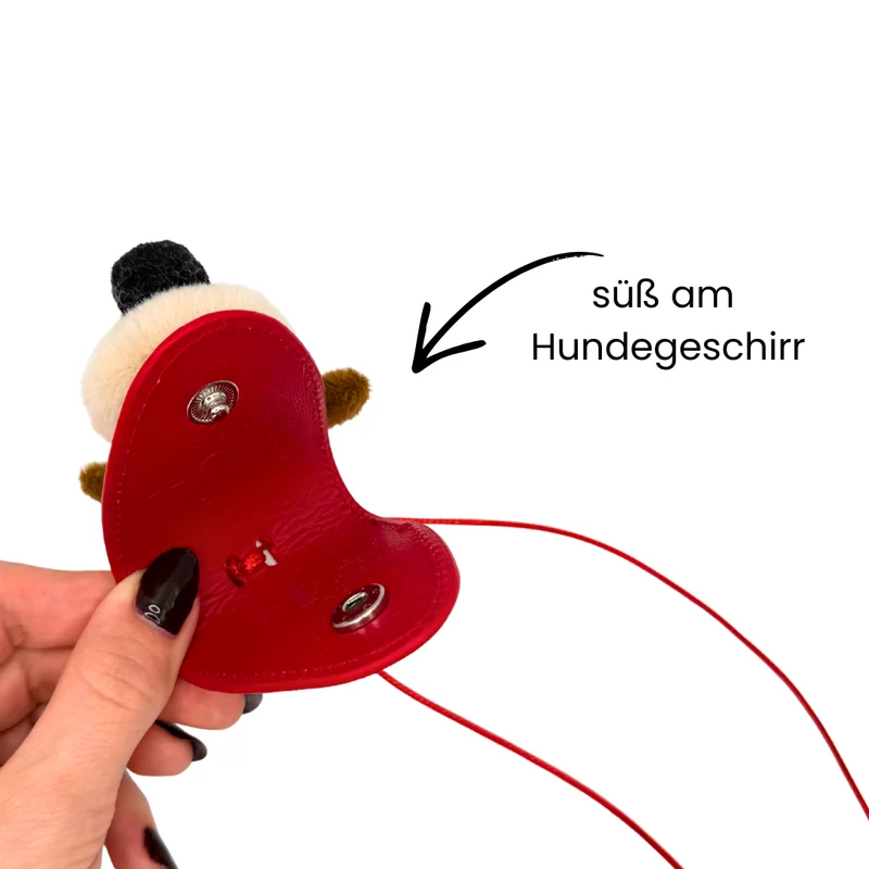 Paulas Kollektion