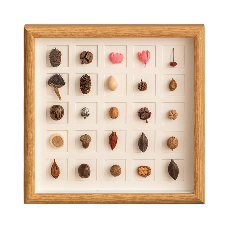 Botanisches Probenanzeige-Rahmen