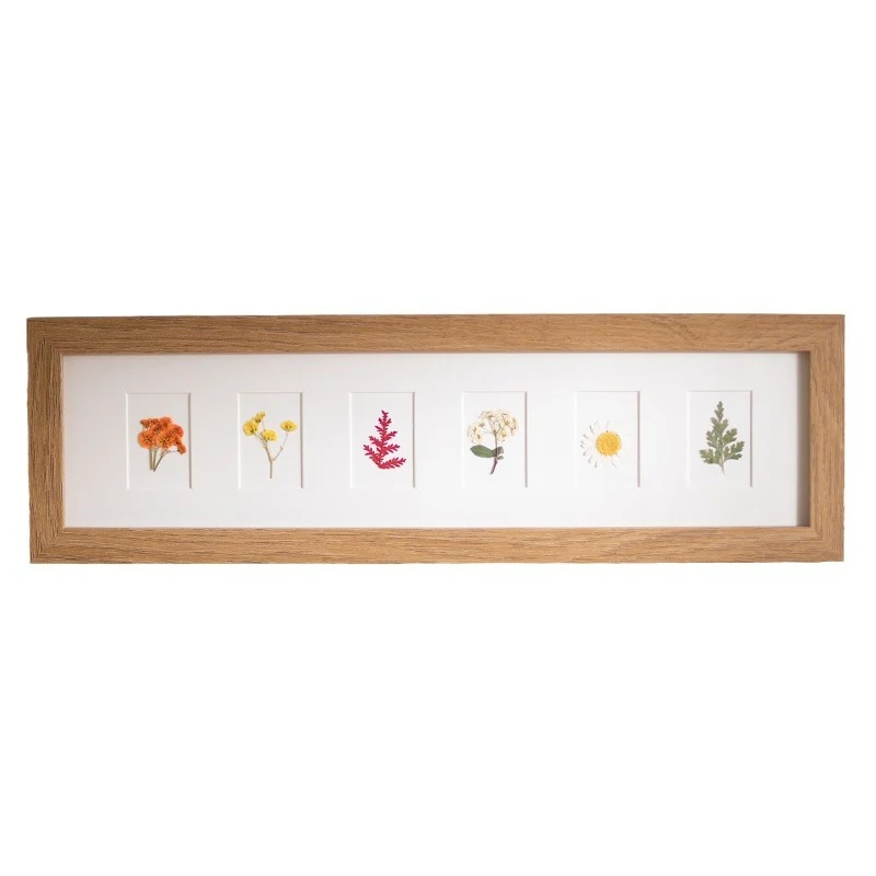 Künstlerischer von der Natur inspirierter Schattenboxrahmen