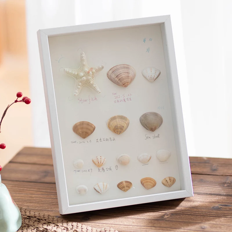 Dekorativer Muscheln Displayrahmen für Zuhause