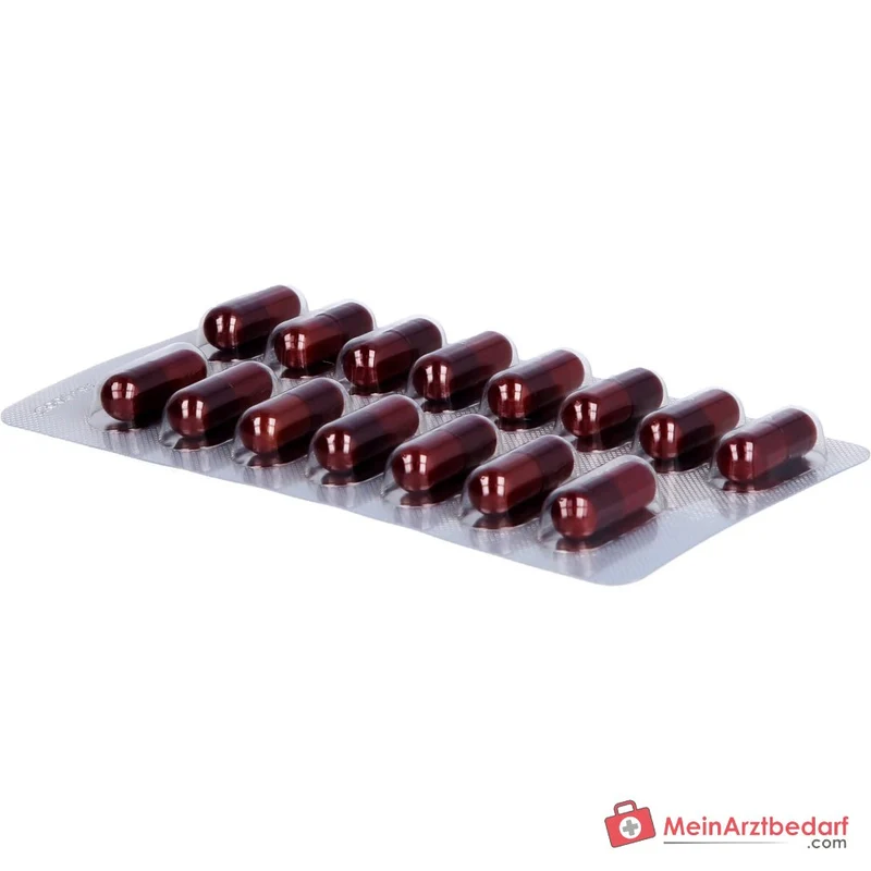 Orthomol Hair Intense Kapseln, 60 St.