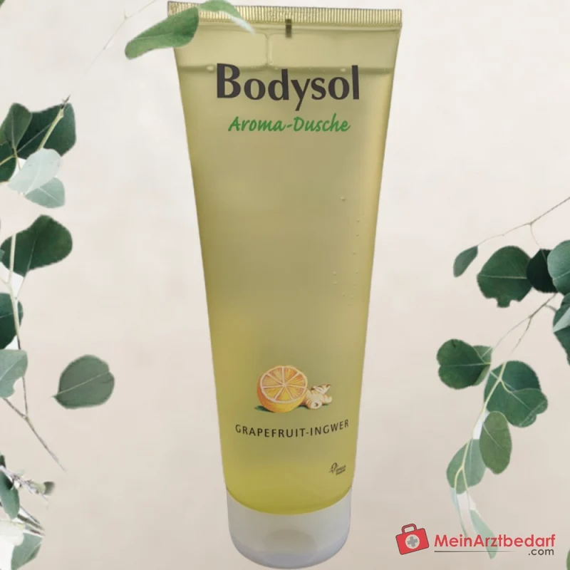Bodysol Aroma-Dusche Grapefruit-Ingwer Duschgel mit Panthenol, 250 ml