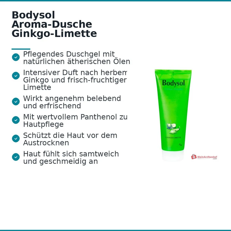 Bodysol Aroma-Dusche Ginkgo-Limette Duschgel mit Panthenol / Ginkgo-Extrakt, 250 ml