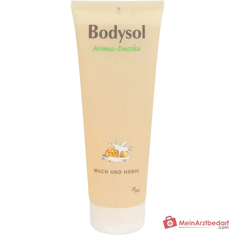 Bodysol Aroma Duschgel Milch und Honig Duschgel, 250 ml