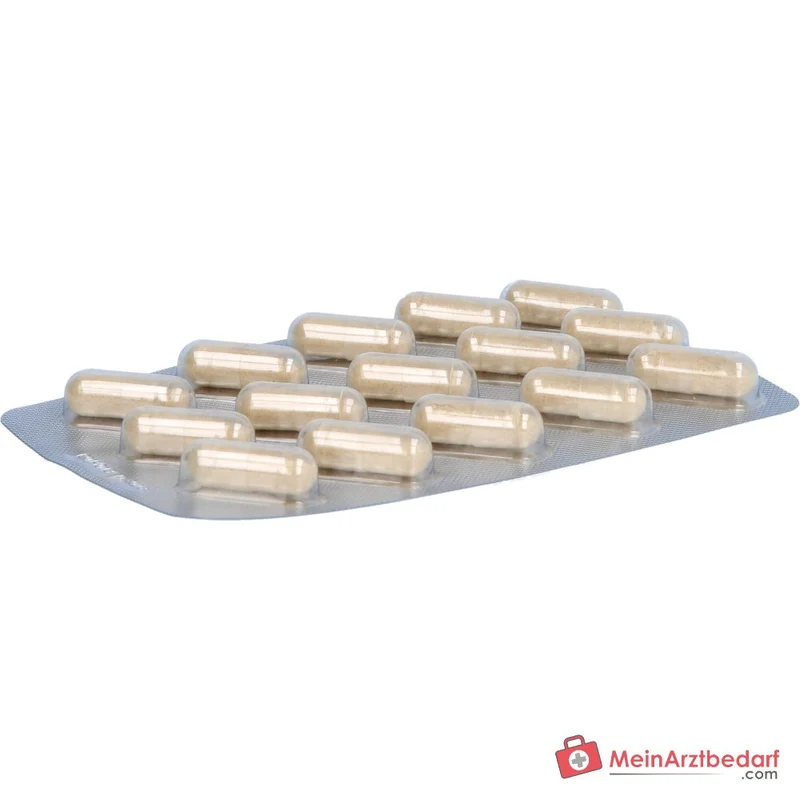 Luvos Heilerde Bio Haut Plus Vitamin C / Silizium / Piperin Kapseln, 30 St.