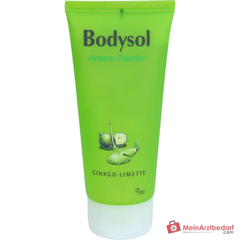 Bodysol Aroma-Dusche Ginkgo-Limette Panthenol / Ginkgo Biloba Extrakt Duschgel, 100 ml