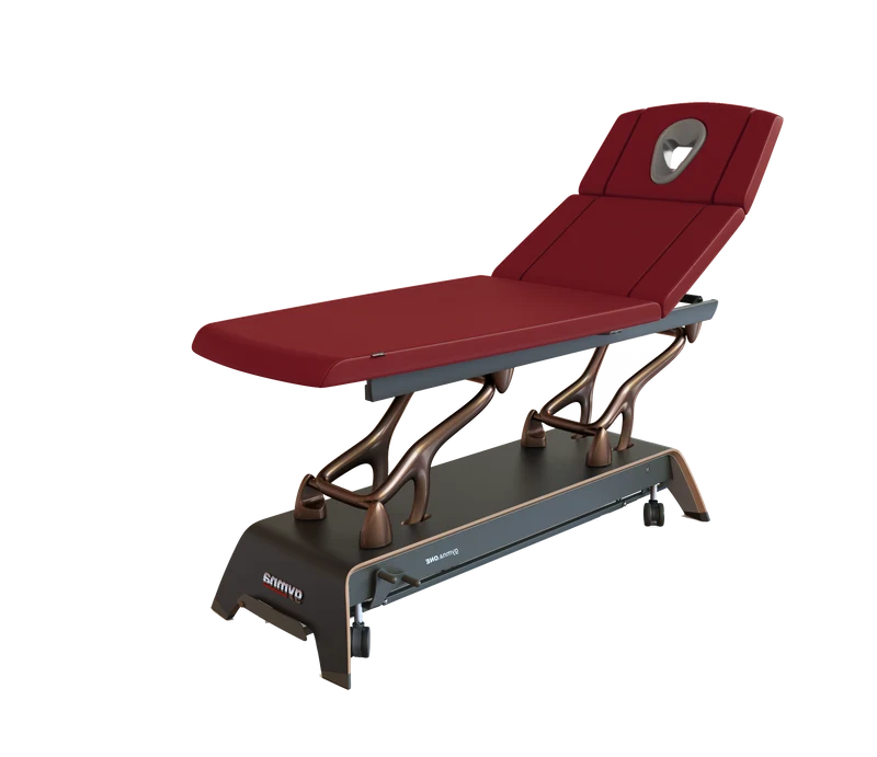 Premium Therapieliege Gymna.ONE - T7