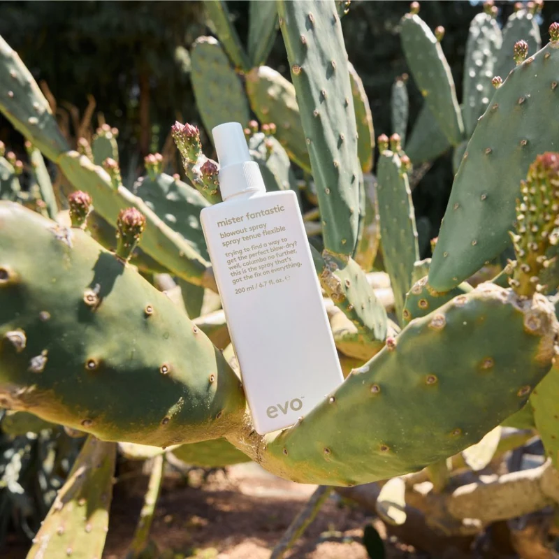 EVO Mister Fantastic Blowout Spray