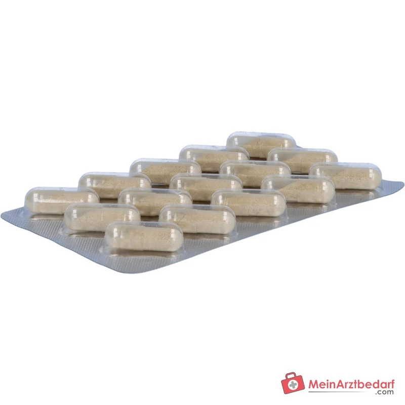 Luvos Heilerde Bio Bitterquell Plus Calcium / Artischocke / Pfefferminze / Löwenzahnwurzel / Heilerde Kapseln, 30 St.