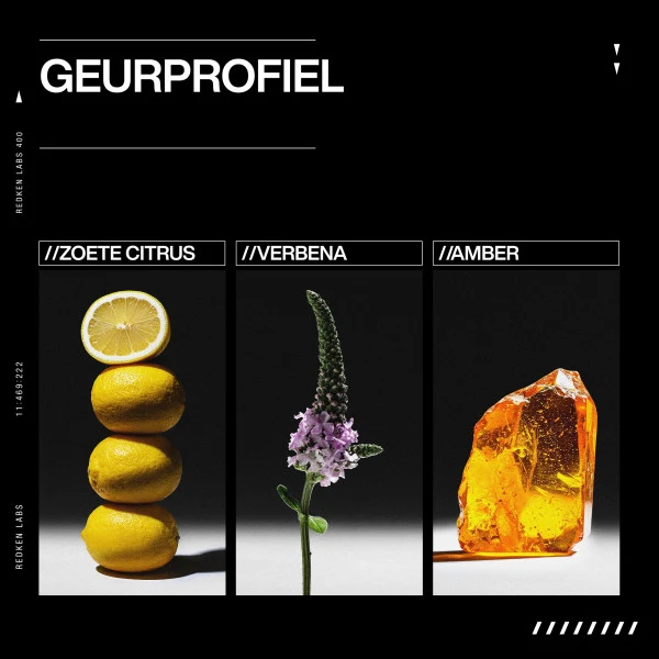 Redken Acidic Grow Full System Kopfhaut- & Haarserum 100ml