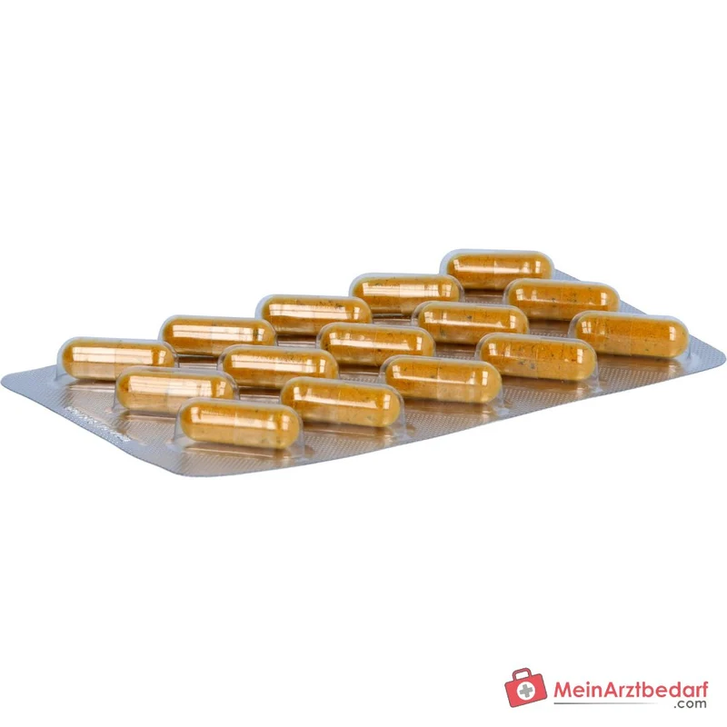 Luvos Heilerde Bio Ballaststoff Plus Flohsamenschalenpulver / Inulin / Curcuma Longa / Chiasamen / Leinsamenmehl Kapseln, 60 St.