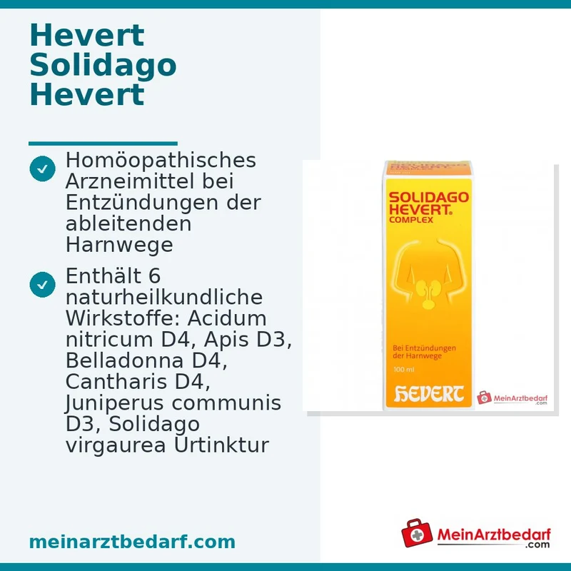 Hevert Solidago Complex Tropfen, 100 ml