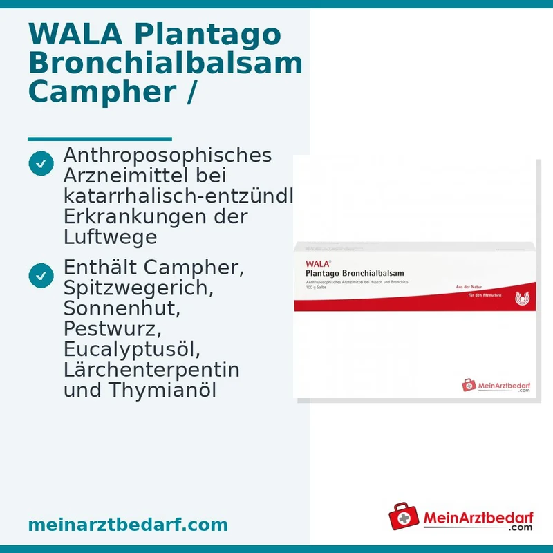 WALA Plantago Bronchialbalsam Salbe, 100 g