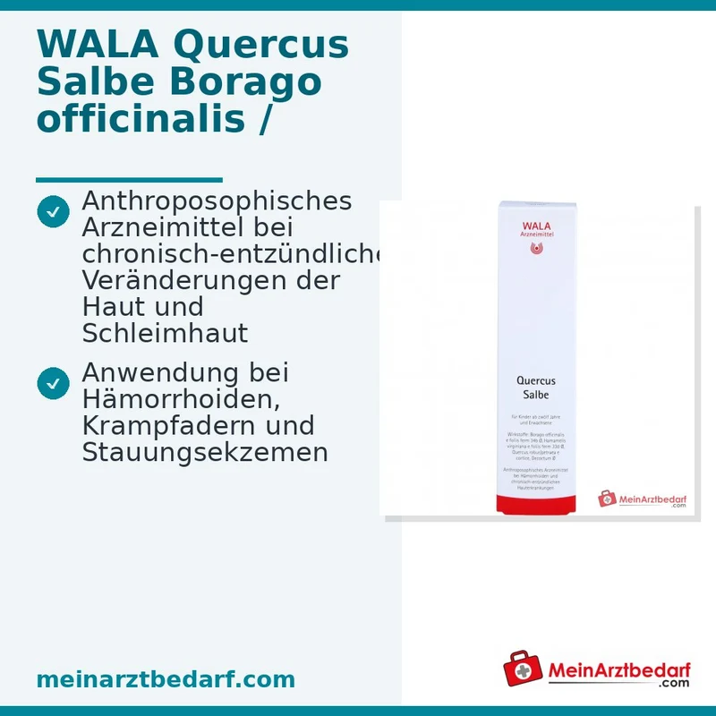 WALA Quercus Salbe, 100 g