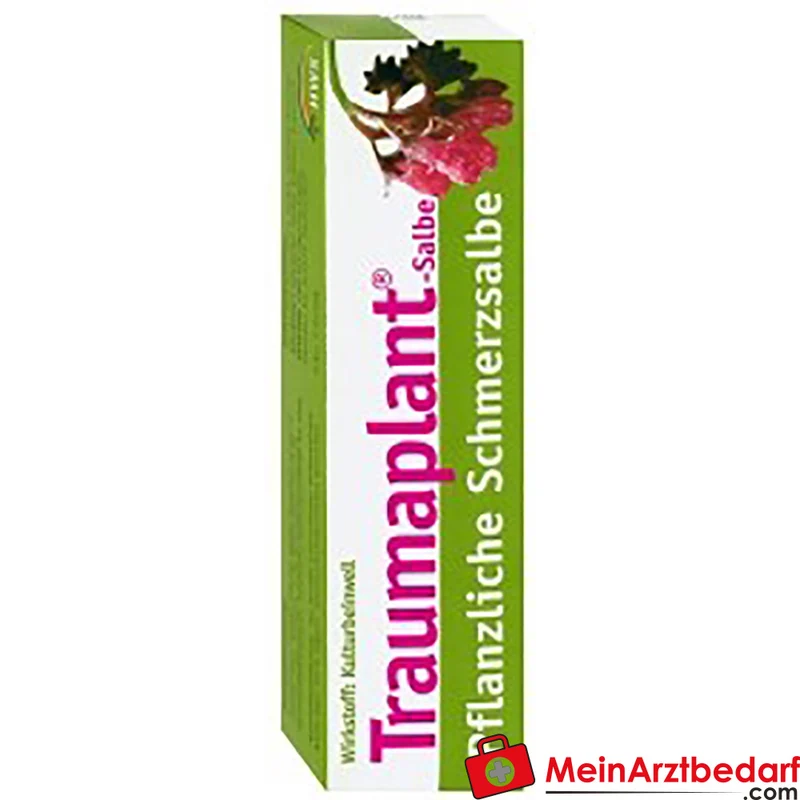 HWS Traumaplant Salbe 50 g, pflanzliche Schmerzsalbe bei Prellungen, Verstauchungen, Muskel- und Gelenkschmerzen