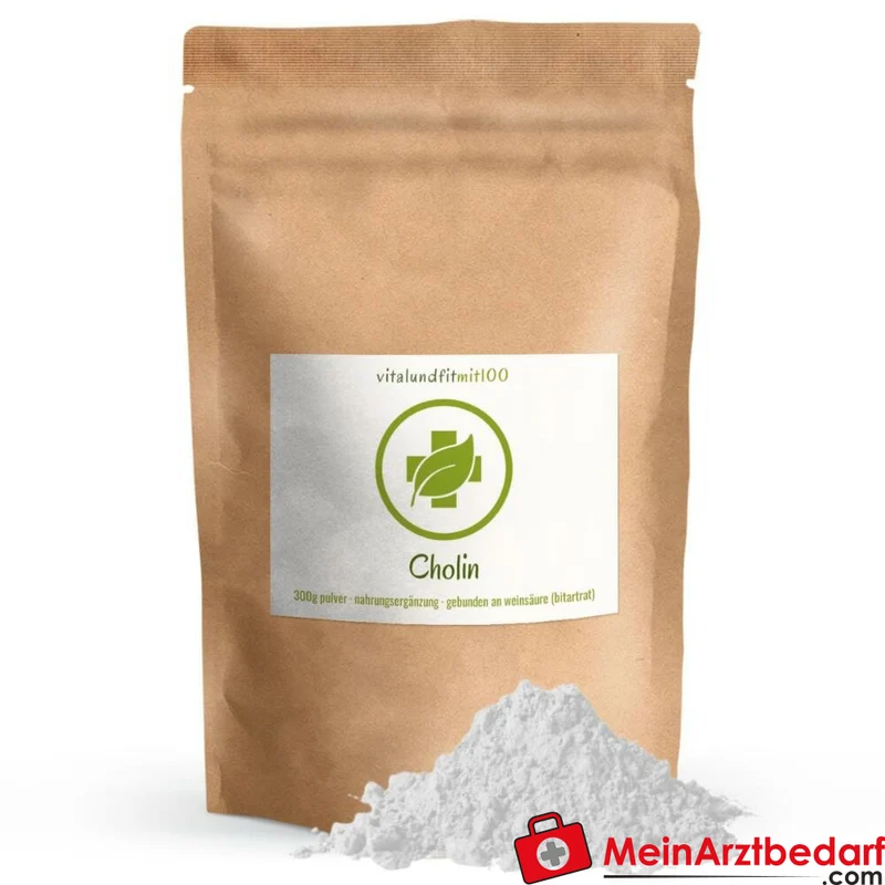 Cholin-Bitartrat Pulver 300 g, vegan