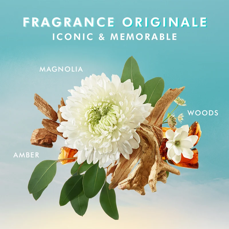 Moroccanoil Seife Bar 200gr