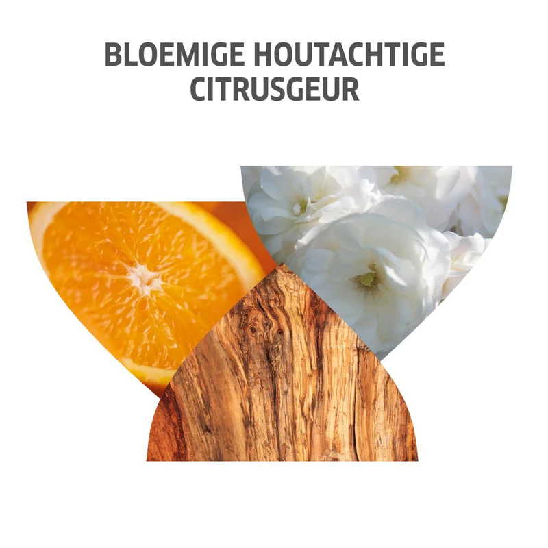Wella Professionals Invigo Colour Brilliance Mask Gefärbtes & dickes Haar