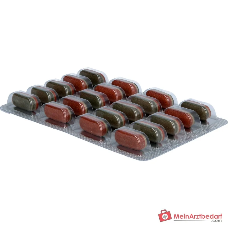 Oyono Nacht Intens Melatonin / Baldrian / Lavendel / Ashwagandha Tabletten, 60 St.