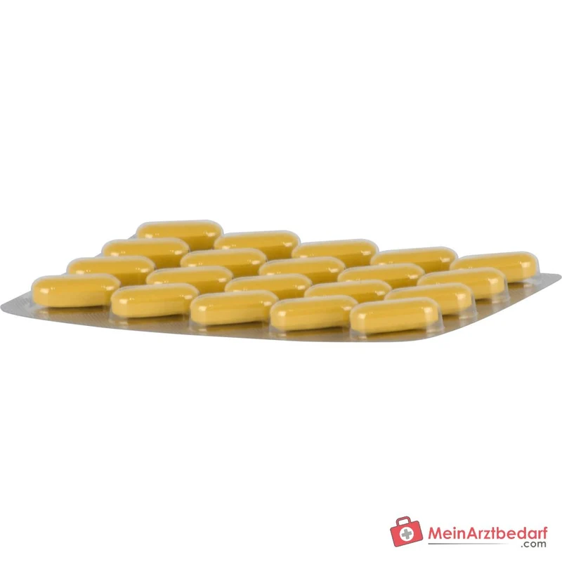 Dr. Willmar Schwabe Neuroplant Aktiv Johanniskraut-Trockenextrakt Filmtabletten 600 mg, 100 St.