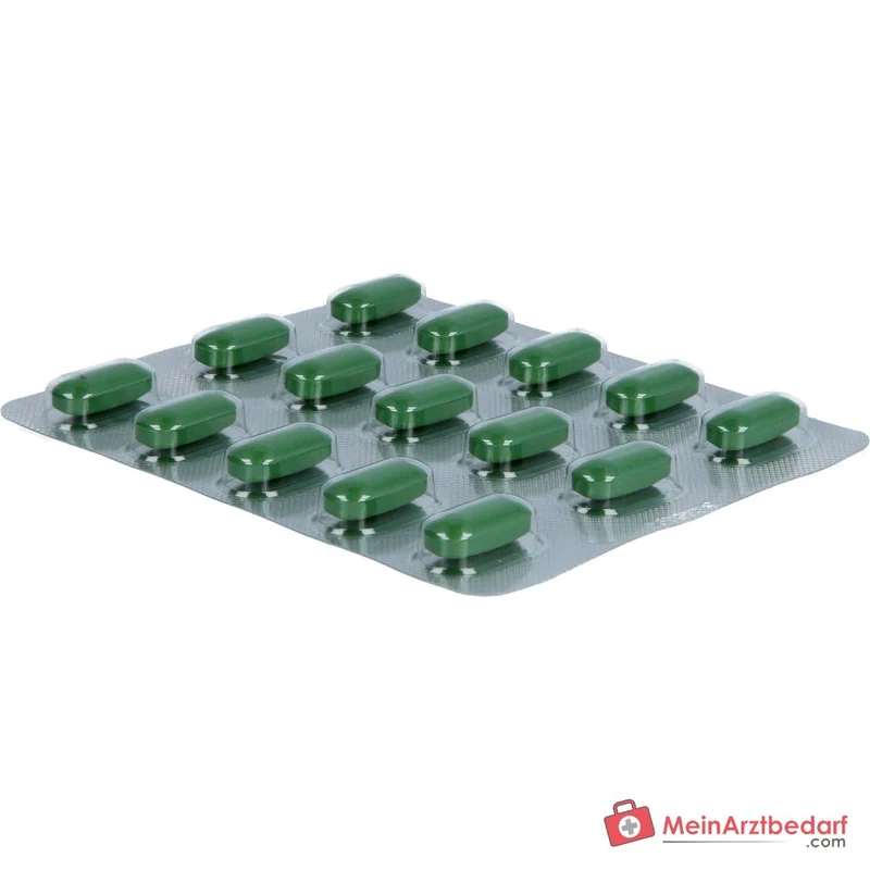 Remisens Damianablätter-Trockenextrakt Filmtabletten, 90 St.