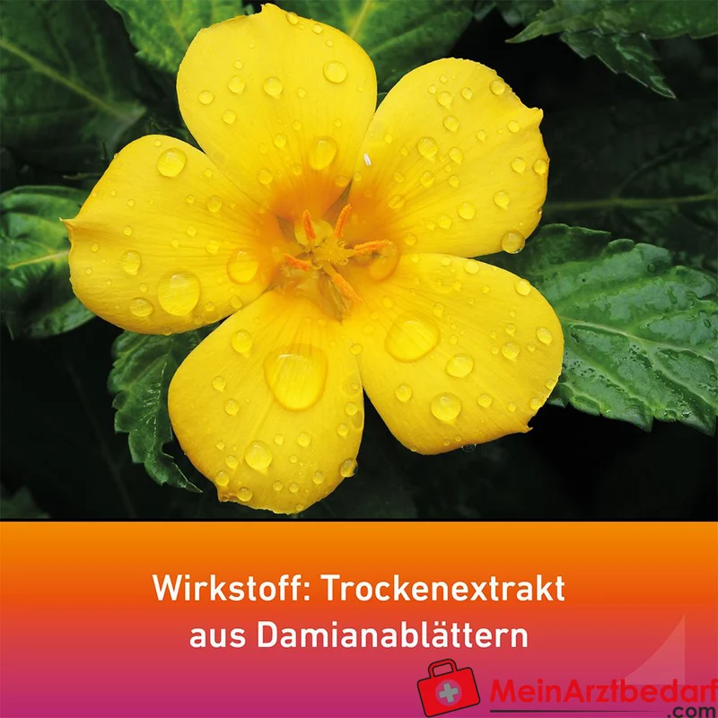 Remisens Damianablätter-Trockenextrakt Filmtabletten, 90 St.