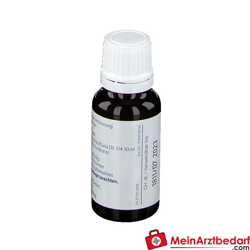 DESEO Turnera diffusa D4 Tropfen 20 ml