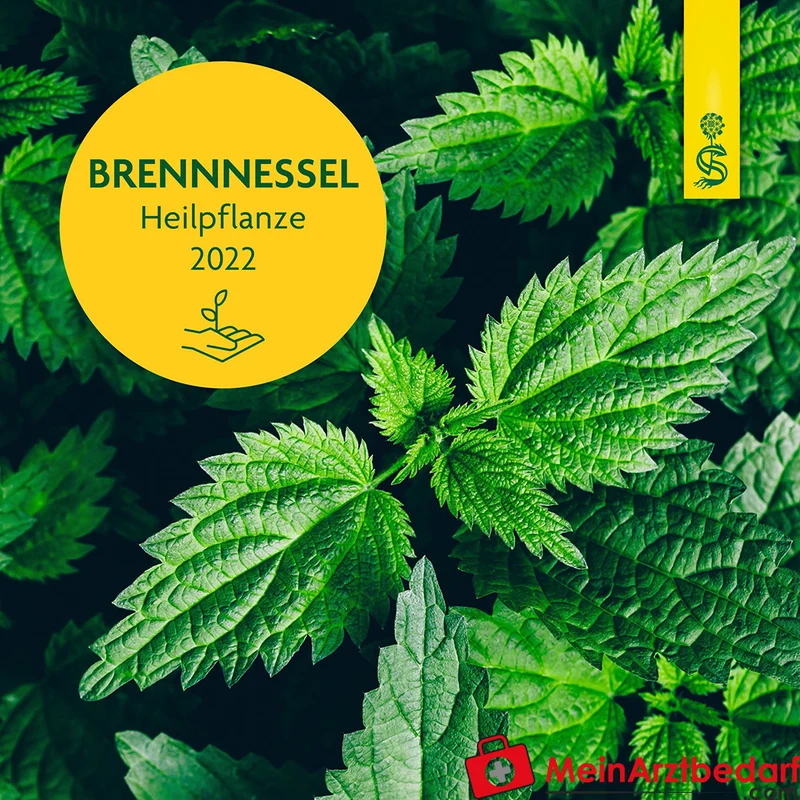 Schoenenberger Naturreiner Heilpflanzensaft Brennnessel Brennnesselkraut-Presssaft Saft, 200 ml
