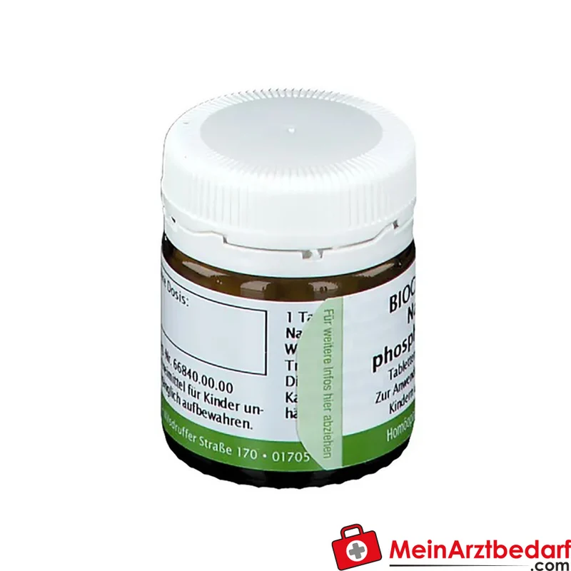 Bombastus Biochemie Biochemie 9 Natrium phosphoricum D6 250 mg Tabletten