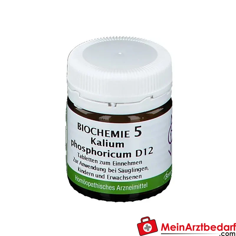BIOCHEMIE 5 Kalium phosphoricum D12 Tabletten 250 mg