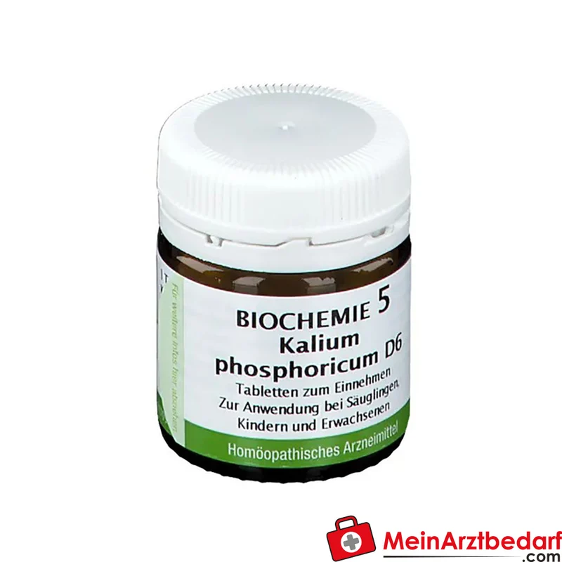 Bombastus Biochemie Biochemie 5 Kalium phosphoricum D6 Tabletten 250 mg