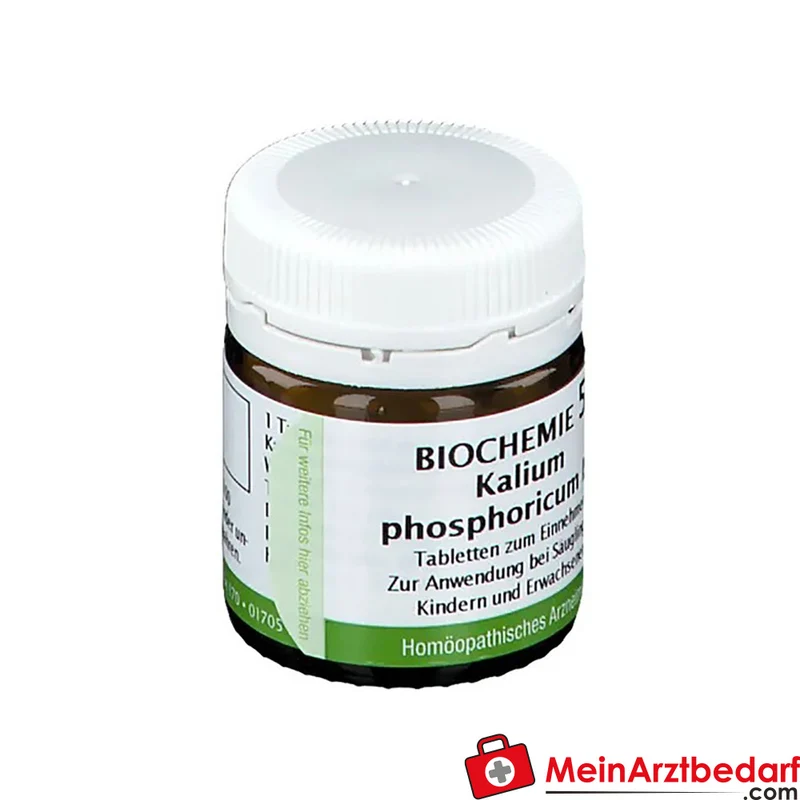 Bombastus Biochemie Biochemie 5 Kalium phosphoricum D6 Tabletten 250 mg