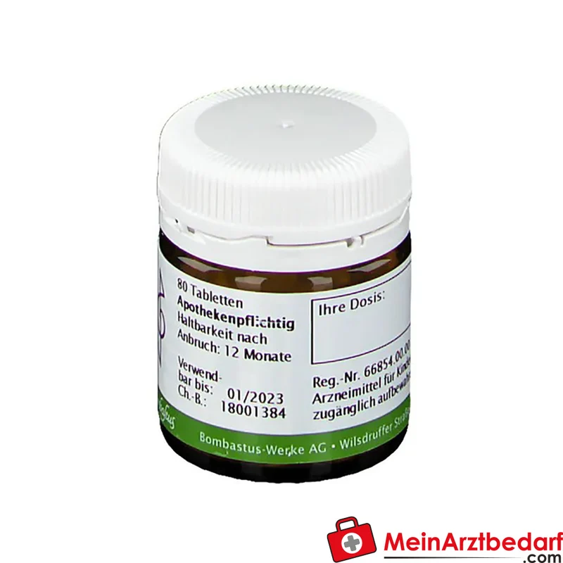 BIOCHEMIE 23 Natrium bicarbonicum D6 Tabletten homöopathisches Arzneimittel