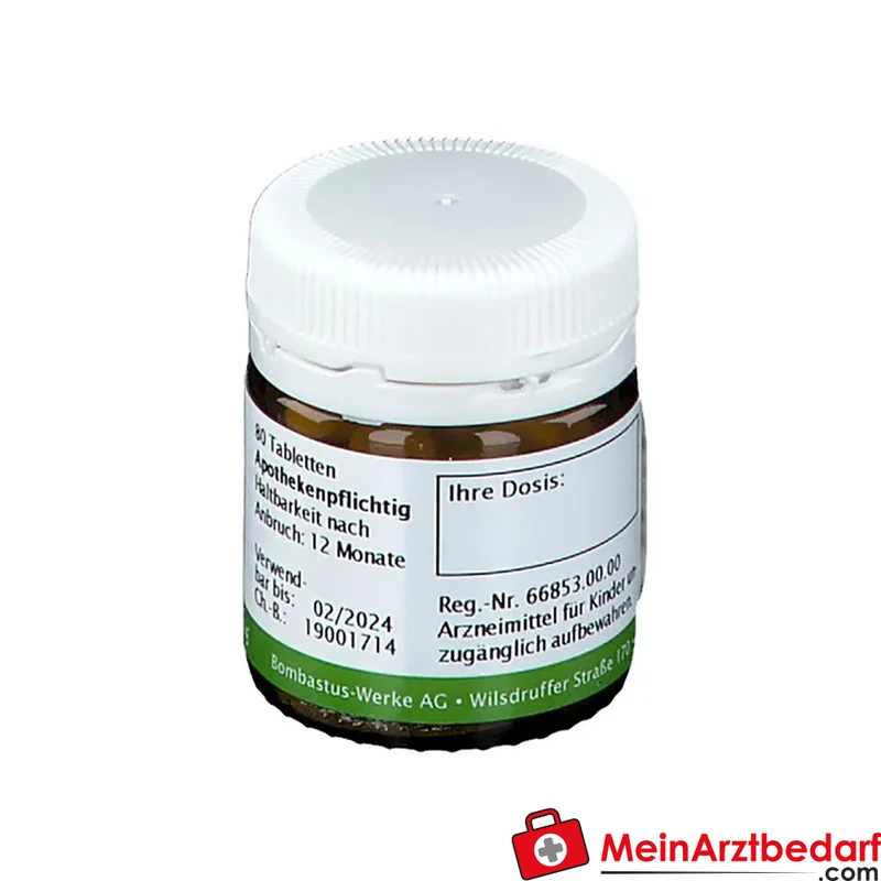 Bombastus Biochemie 22 Calcium carbonicum D6 250 mg Tabletten