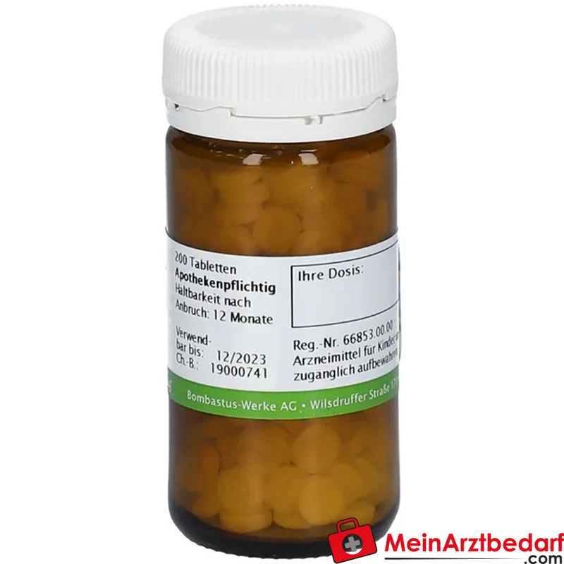 Bombastus Biochemie 22 Calcium carbonicum D6 250 mg Tabletten