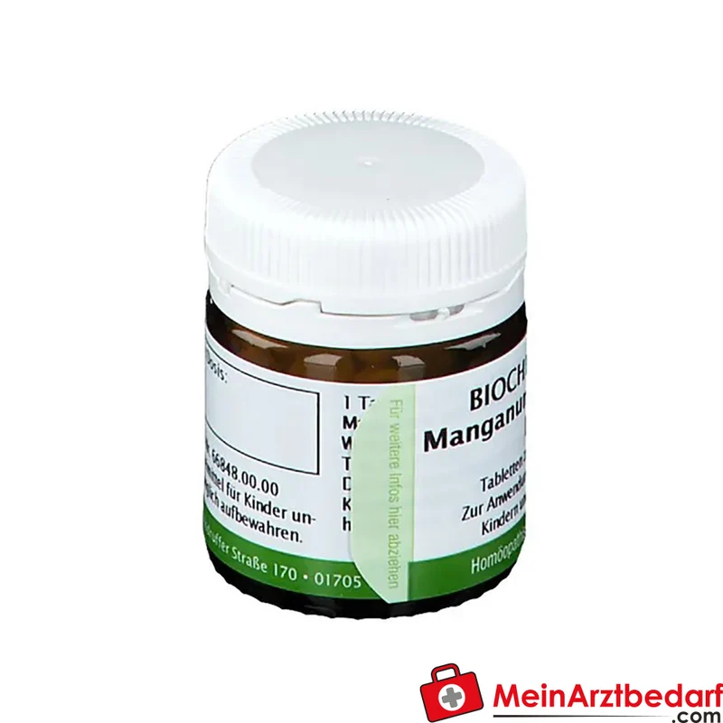 BIOCHEMIE 17 Manganum sulfuricum D6 250 mg Tabletten