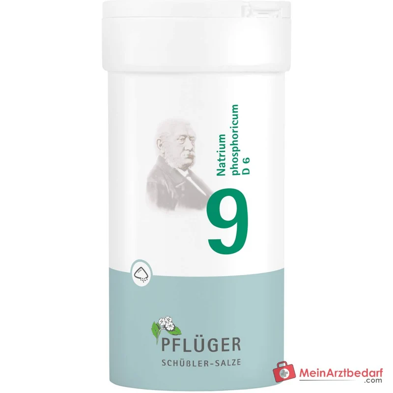 Biochemie Pflüger Nr. 9 Natrium phosphoricum D6 Pulver 100 g