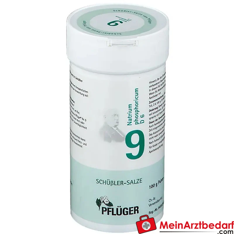 Biochemie Pflüger Nr. 9 Natrium phosphoricum D6 Pulver 100 g