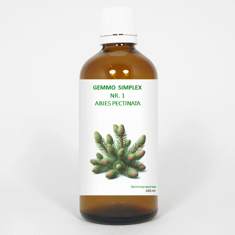 Balance Pharma Gemmo simplex 1 abies pectinata 100 ml