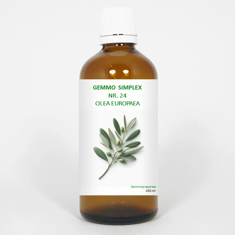 Balance Pharma Gemmo simplex 24 olea europaea 100 ml