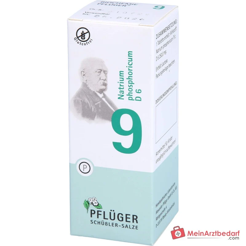 Biochemie Pflüger Nr. 9 Natrium phosphoricum D6 250 mg Tabletten 100 St