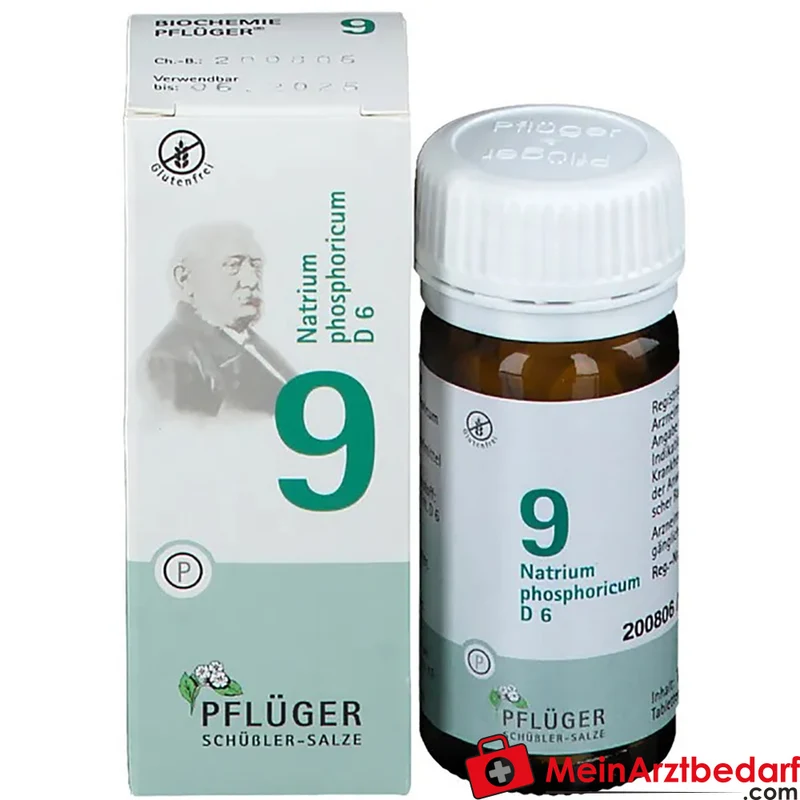 Biochemie Pflüger Nr. 9 Natrium phosphoricum D6 250 mg Tabletten 100 St