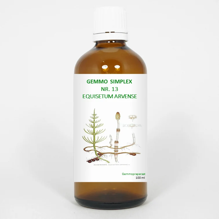 Balance Pharma Gemmo simplex 13 equisetum arvense 100 ml