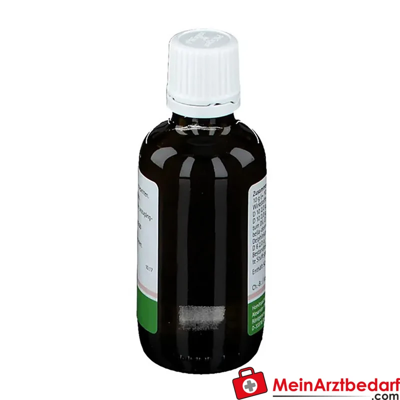 Pflügerplex Belladonna 182 (Atropa belladonna) homöopathische Tropfen