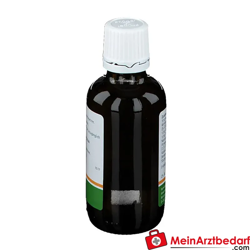 Pflügerplex Natrium carbonicum 177 Tropfen homöopathisches Arzneimittel