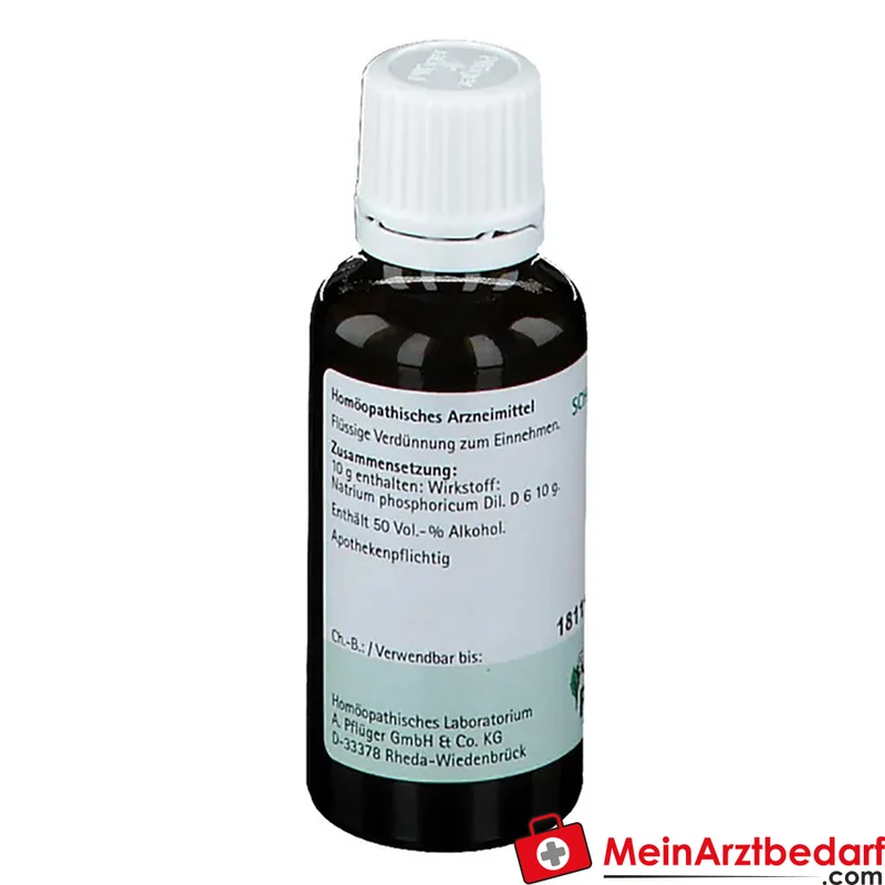 Biochemie Pflüger Nr. 9 Natrium phosphoricum D6 Tropfen 10 ml
