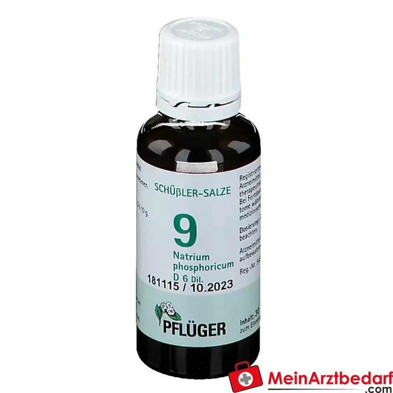 Biochemie Pflüger Nr. 9 Natrium phosphoricum D6 Tropfen 10 ml