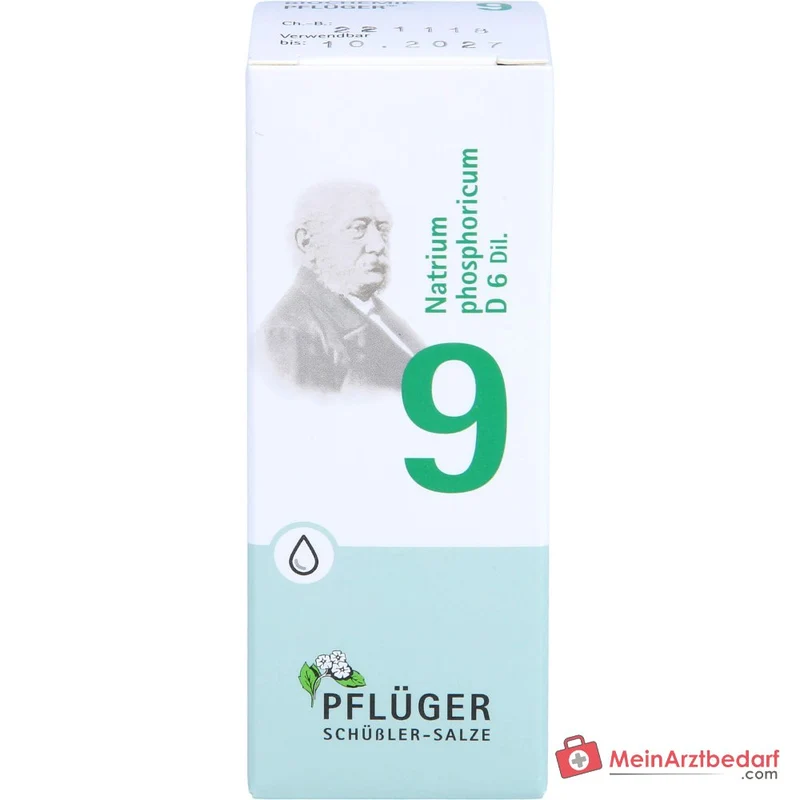Biochemie Pflüger Nr. 9 Natrium phosphoricum D6 Tropfen 10 ml