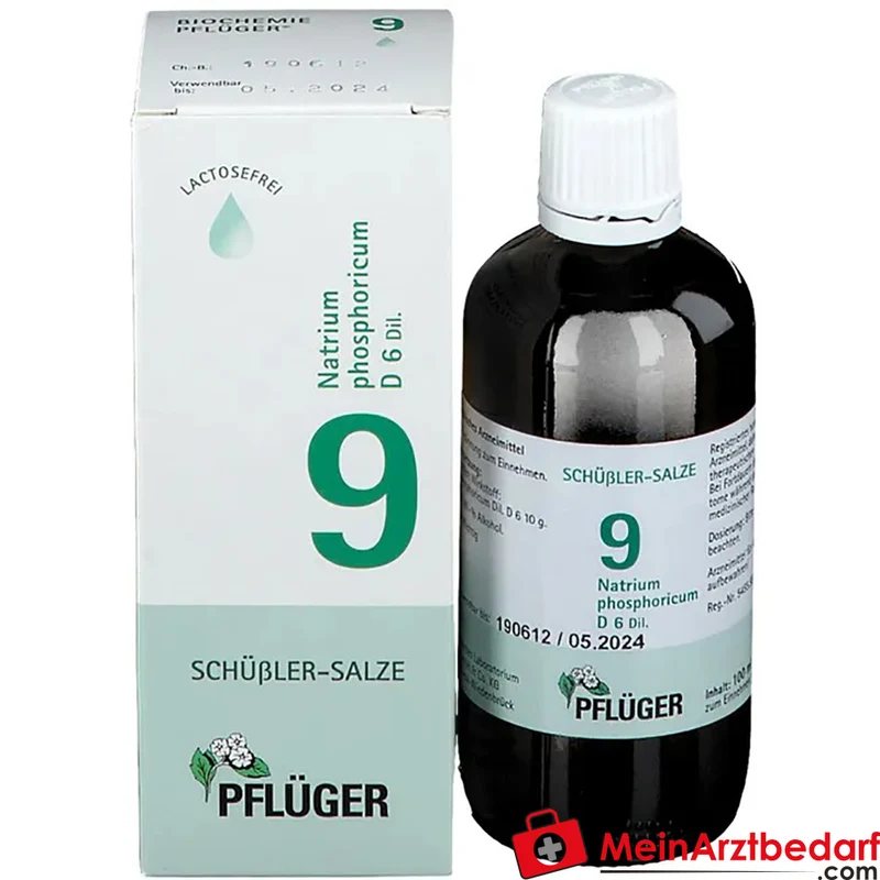 Biochemie Pflüger Nr. 9 Natrium phosphoricum D6 Tropfen 10 ml