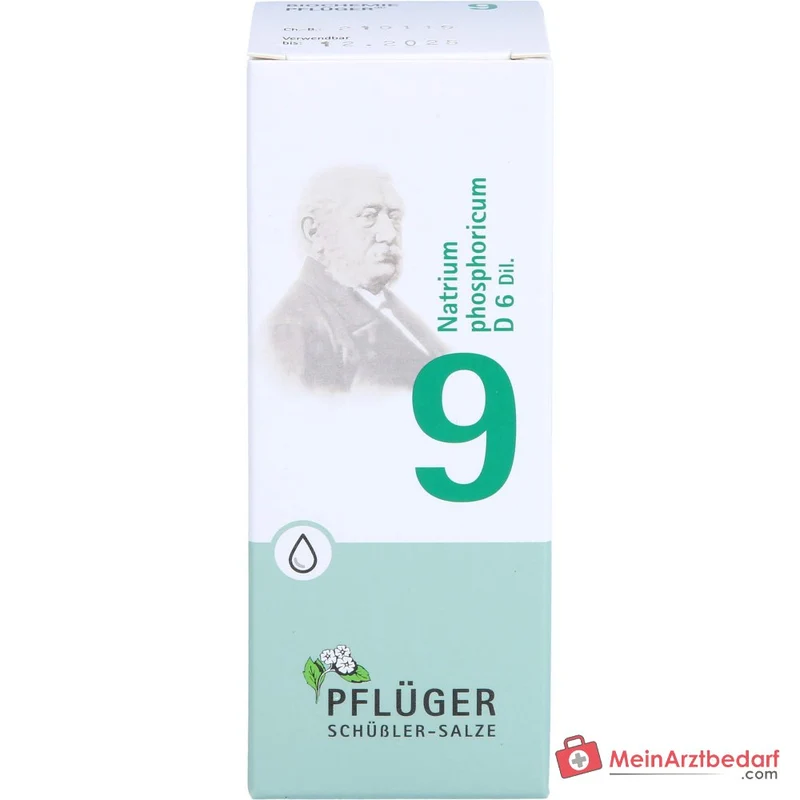 Biochemie Pflüger Nr. 9 Natrium phosphoricum D6 Tropfen 10 ml